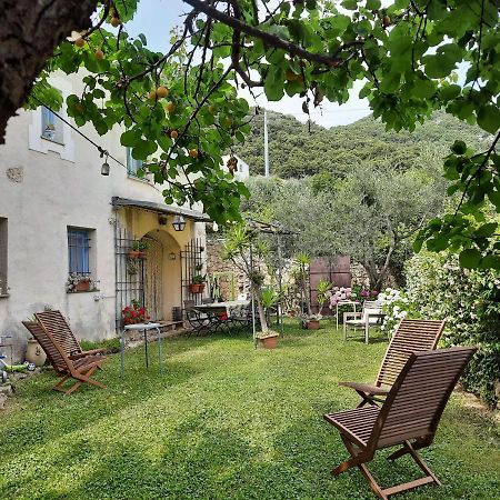 פינאלה ליגורה Casa Olivia Lacrema מראה חיצוני תמונה